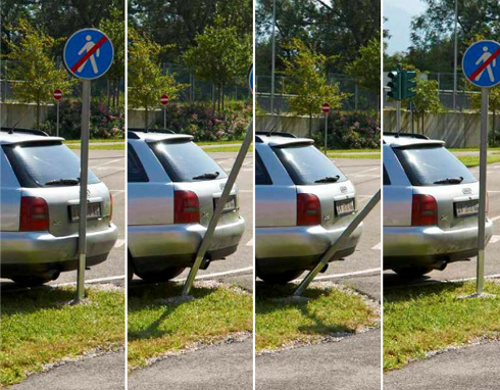 Flexipoller 1